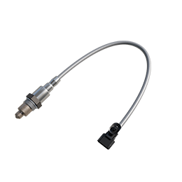 濃差型氧氣傳感器ZS-XF-01